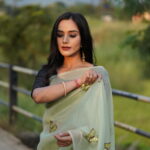 Butterfly Saree