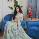 Organza Saree